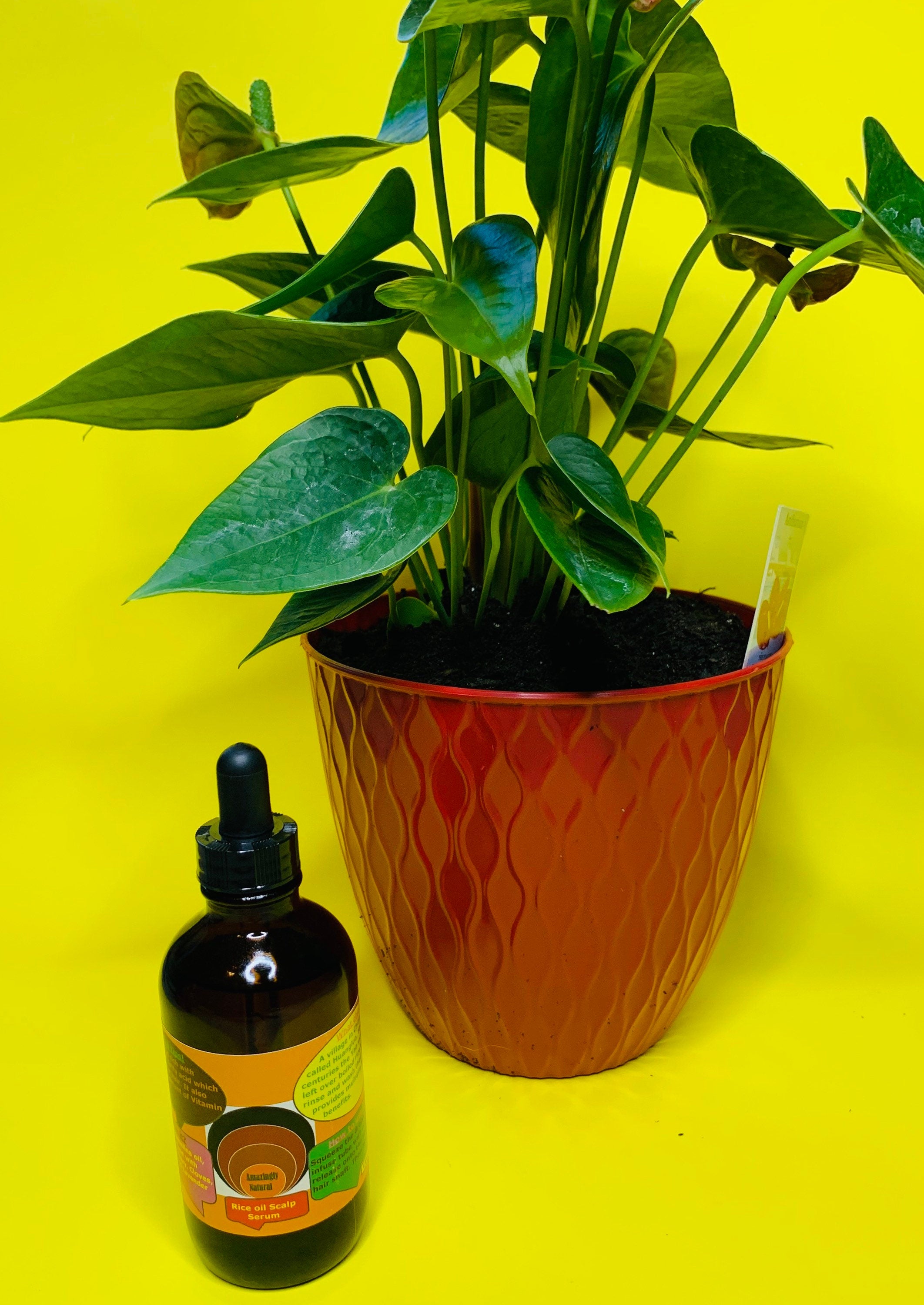 RICE SCALP SERUM