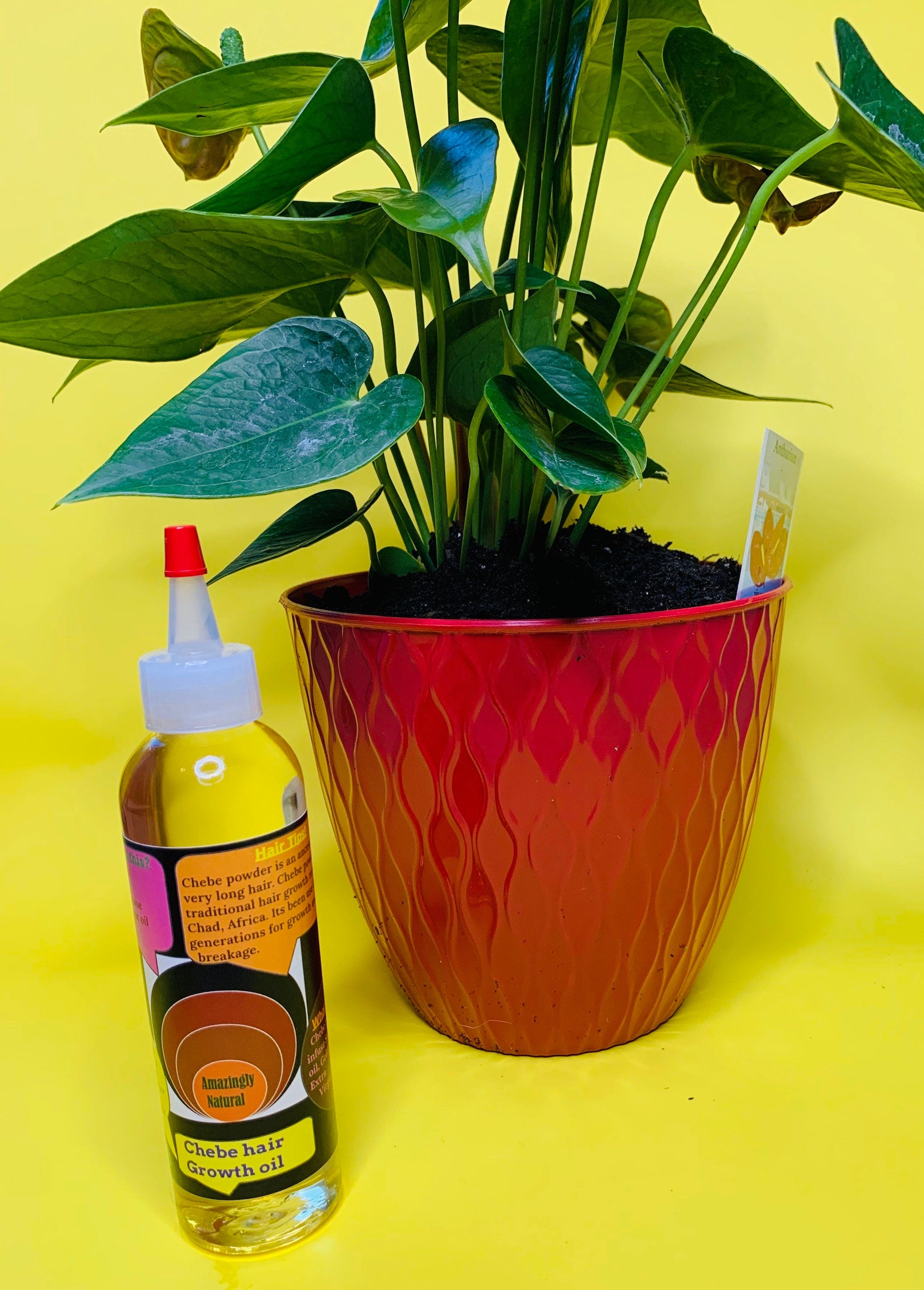 CHEBE HAIR GROWTH OIL