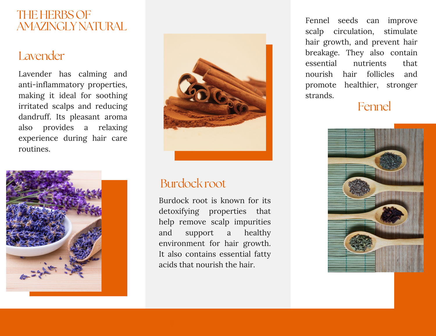 13 Herbs for Naturally Gorgeous Hair, Scalp and Skin